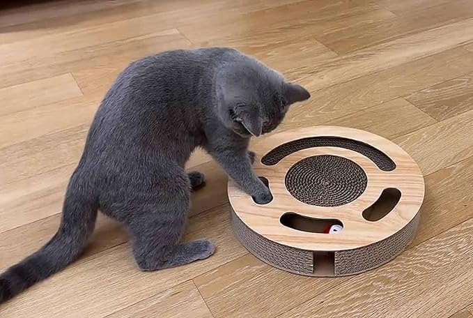 Cat Toy 3in 1 Kitten Puzzles Toys for Bored Indoor Cats with Cardboard and 2 Bell Balls Round Cats Scratcher