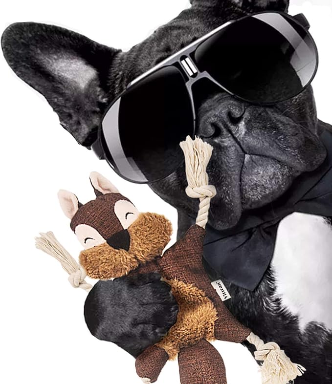 Vitscan Crinkle Dog Toy, No Stuffing Puppy Toys, Cotton Rope Limbs Stuffless Dog Toy with Squeaker, Plush Body Parts Squirrel Dog Squeaky Toys for Small Dog Chew Toys