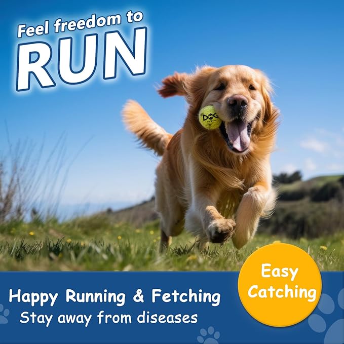 Tennis Balls for Dogs - 12 Pack 2.0'' Durable Non-Toxic Outdoor Dog Toys Balls with Mesh Bag, SGS Certified, Colorful Fetch Toys, Small Breeds (Non Squeaky)