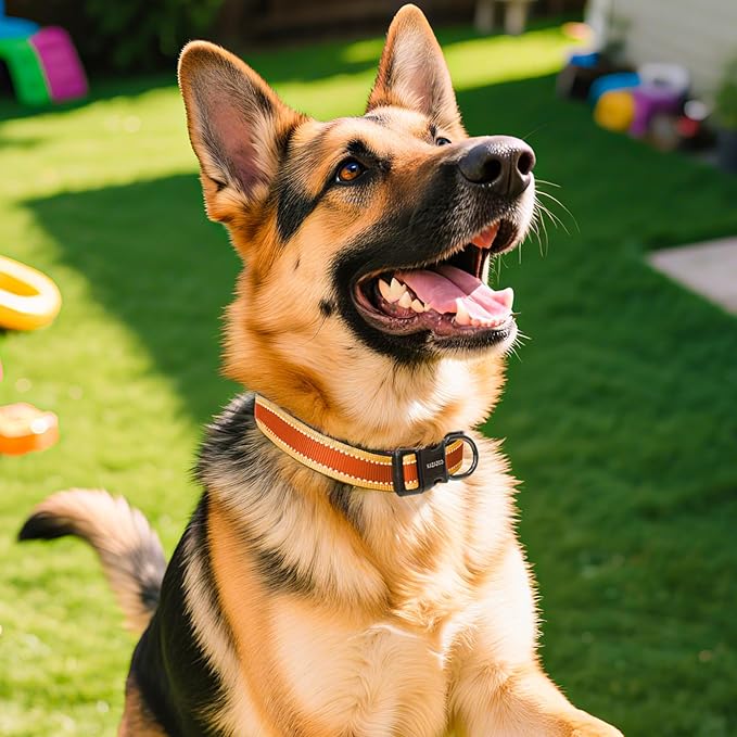 Reflective Dog Collar with Soft Padding Dog Collar for Medium & Large Dogs, No Pull, Heavy Duty, Adjustable Nylon Collar with Quick-Release Buckle, Walking Training-Orange-XL