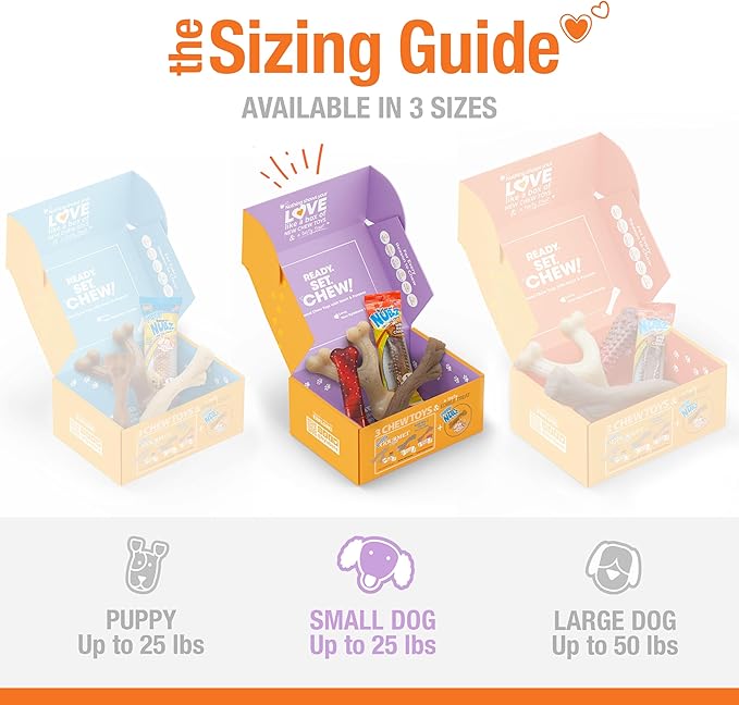 Nylabone Dog Gift Box, Includes 3 Strong Chew Toys and 1 Natural Treat, Gifts for Dogs, Small - Up to 25 lbs, 4 Pack