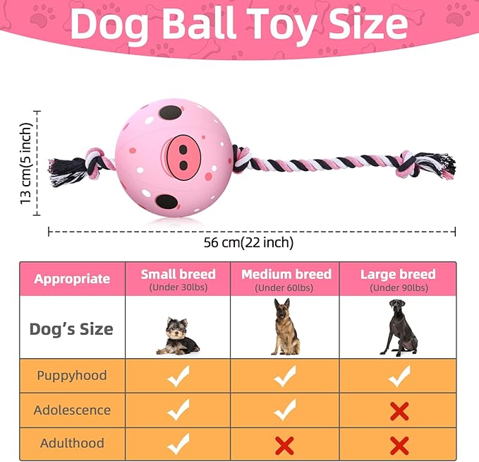 QDAN Dog Rope Dogs Toy: Dog Soccer Ball with Strap, Balls on Rope Plush Outdoor Birthday Toys for Small to Medium(for Medium Dogs, Pig)