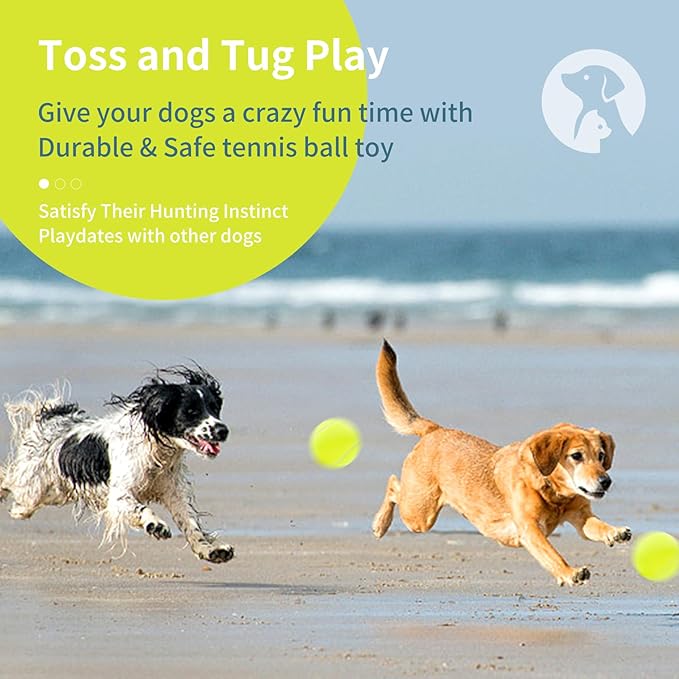 susu & wuwu Large Tennis Ball for Dogs 4 Inch Big Tennis Ball for Dog, Outdoor Play Toy for Small, Medium, Large Dogs Pet Birthday Gift(4 Pack)