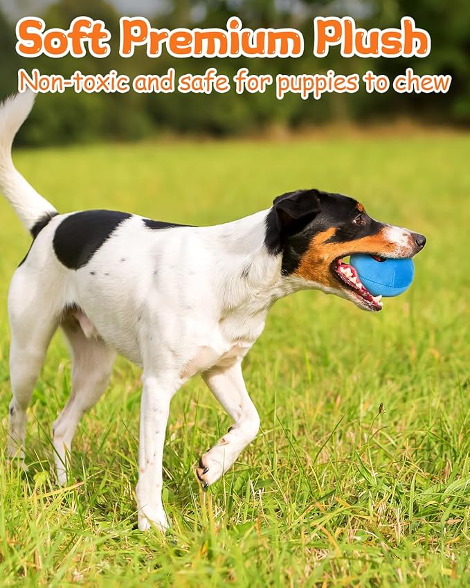 Squeaky Dog Toys, Interactive Soft Plush Puppy Toy Balls for Small Medium Breed, Cute Stuffed Pet Teething Ball Pack to Keep Dogs Busy