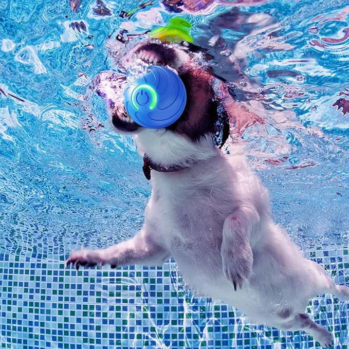 2PCS Dog Ball, 2025 Upgrade Vibrating Dog Ball Interactive Pet Balls Shaky Toy, USB Rechargeable Smart Shaking Pet Bounce Balls Automatic Moving Pet Toy for All Dogs (#A1)