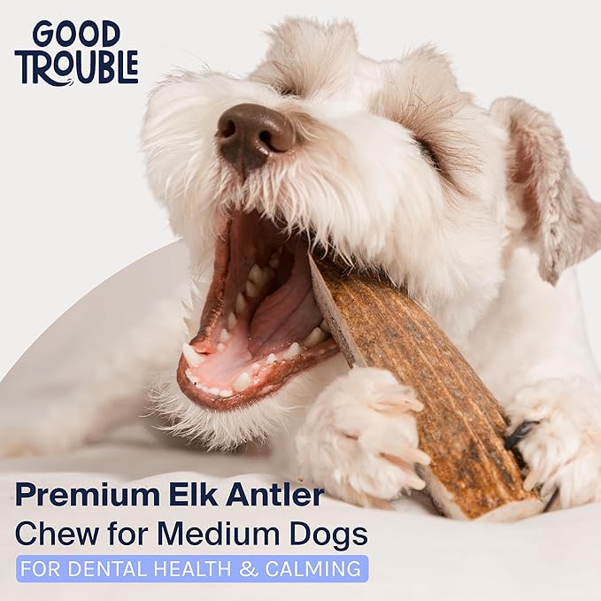 Good Trouble Premium Elk Antlers for Medium Dogs – 1 Pack Split - All-Natural, Shed Antler Chews for Dental Health & Calming - Durable Dog Bones - Cruelty-Free, North American Sourced