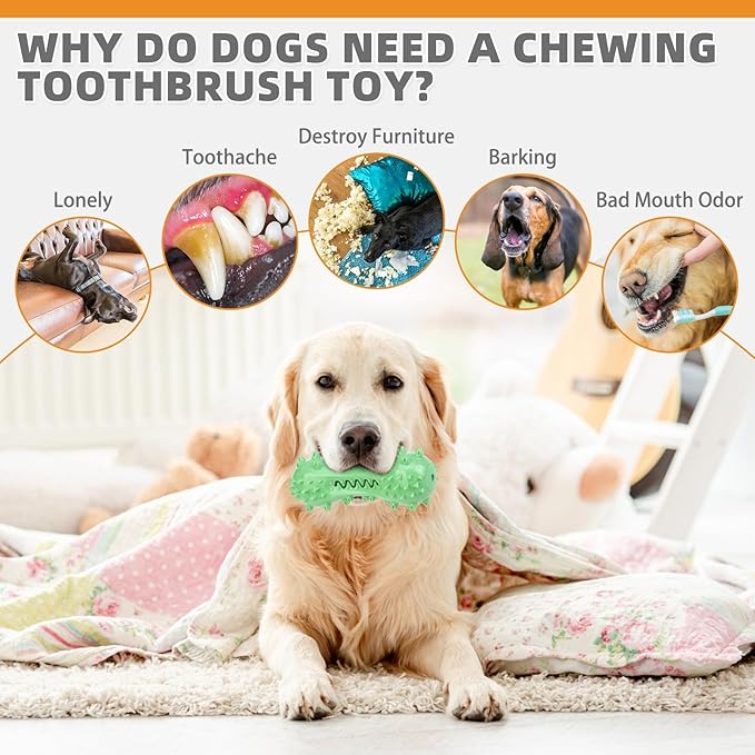 KOOLTAIL Floating Dog Toys for Swimming Pool,Summer Bumper Toy for Water,Indestructible Dog Toothbrush Chew Toy,Interactive Training Squeaky Toys for Aggressive Chewers Small Medium Large Dogs,Green