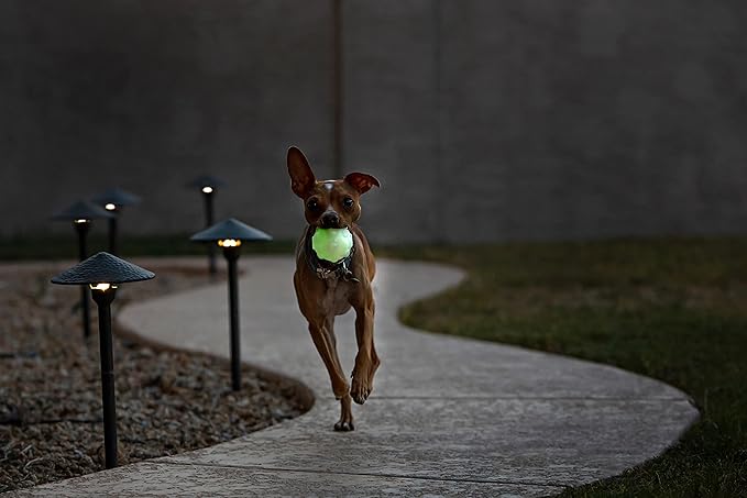 Jolly Pets Jolly Jumper, Large 4", Bouncing Dog Toy Ball; Glows in The Dark