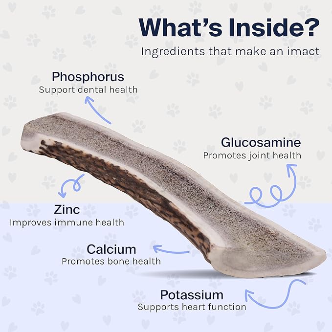 Good Trouble Premium Elk Antlers for Medium Dogs – 1 Pack Split - All-Natural, Shed Antler Chews for Dental Health & Calming - Durable Dog Bones - Cruelty-Free, North American Sourced