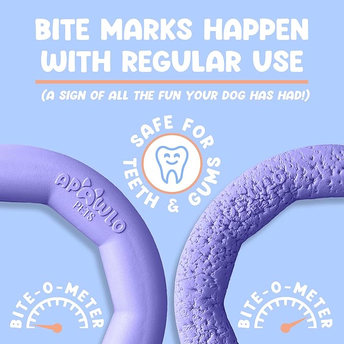 Set of 2 Active Dog Toy Rings - Floating Dog Rings for Outdoor Play, Training & Fetch - Durable Fetch Toy, Frisbee Alt, Outside Yard Toys for Large Breeds - Purple