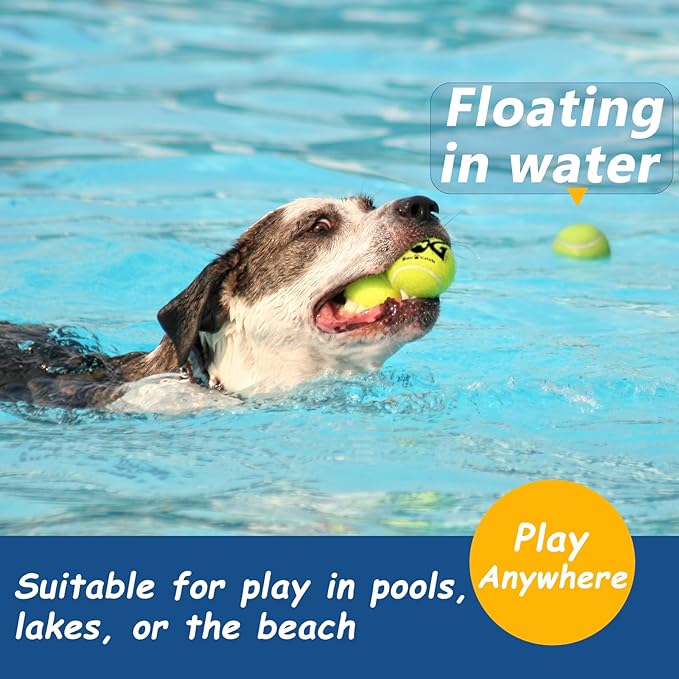 Squeaky Tennis Balls for Dogs - 12 Pack 2.5'' Durable Non-Toxic Outdoor Dog Toys Balls with Mesh Bag, SGS Certified, Colorful Fetch Toys, Medium Large Breeds