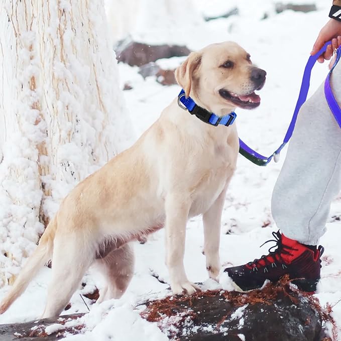 Dog Collar Adjustable Puppy Collar for Small Medium Large Dogs, Nylon Safety Collars with Leopard Print Night Visibility, Blue L