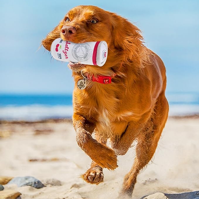 Prime Pets Plush Dog Toy, Dog Squeaky Toys, Beer Pet Toy for Small Medium Large Dogs, Stuffed Puppy Chew Toys