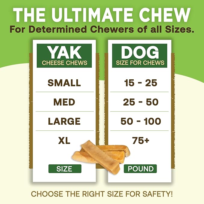 EcoKind Premium Gold Yak Cheese Himalayan Dog Chews, Healthy Dog Treats for Medium Dogs, All Natural, Long Lasting Dog Chew for Aggressive Chewers, High Protein, Rawhide Free Treat, Medium - 3 Chews