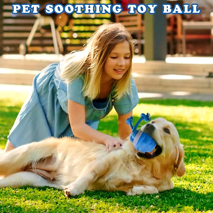 Aerbee Interactive Dog Toys Ball - Fun Moving Smart Dog Toy Active Rolling Ball to Keep Them Busy for Large, Medium, and Small Puppy Dogs, with 2Pcs Pet Chew Toy Ropes for Indoor Boredom Pets, Blue