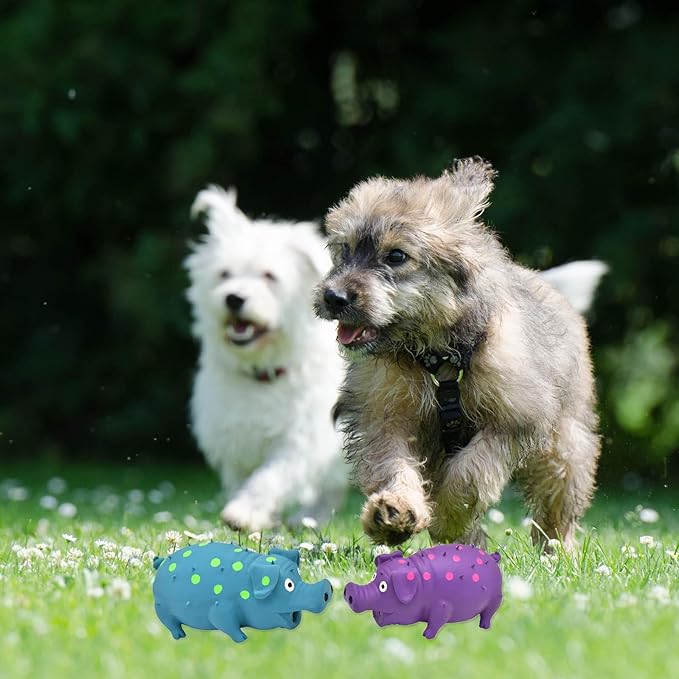 Pig Squeaky Dog Toy, 2 PCS Interactive Rubber Dog Chew Toy - Durable Latex Spot Grunting Pig Toys That Oink for Small Medium Large Dogs (Blue, Purple)