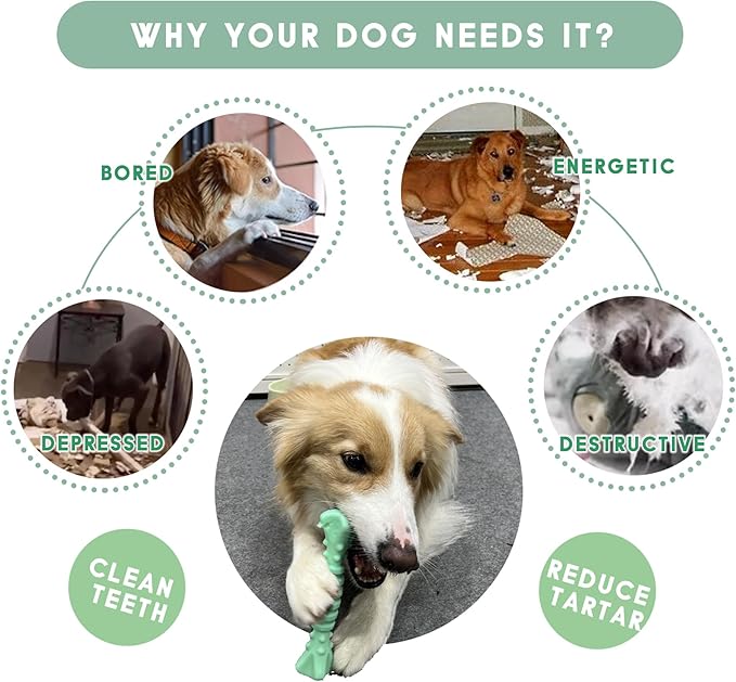 7-1/2" Dog Chew Toys - Thermoplastic Rubber Dog Chew Spiral Bone with Hami Melon Flavor, for Medium Large Dogs (Hami Melon)