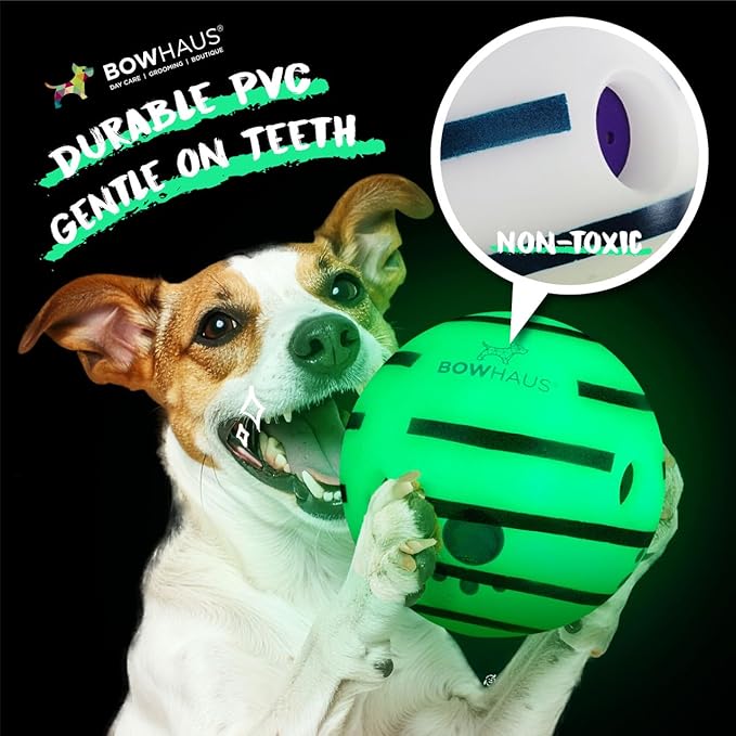 CAPHAUS Wobble Giggle Ball for Dogs, 5.5 Inch Durable Glow in The Dark Dog Exercise Toys, Non-Toxic Indestructible PVC Giggle Ball, Interactive Fun Squeaky Chew Toy for Indoor Outdoor Play