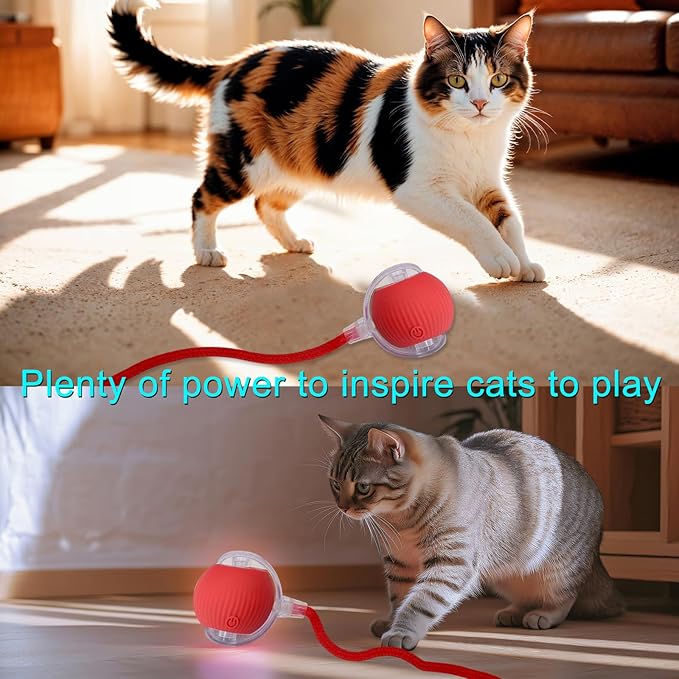 Interactive Cat Dog Toy Ball: Indoor Small Automatic Moving Smart Rolling Fun Pet Game with Led Light and String Tail for Motion Activated, Cute Kitten Puppy Present, Exercise Wheel Supplies (Red)