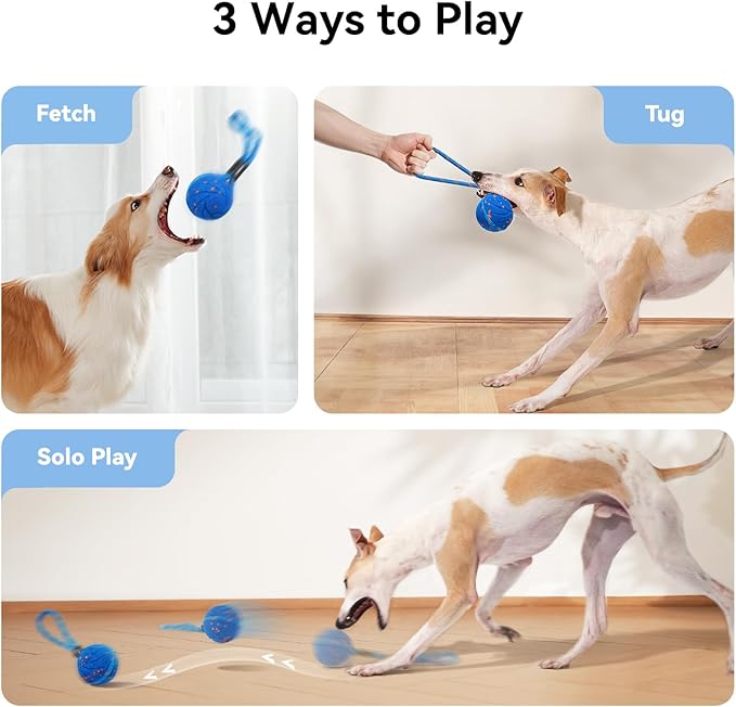 Cheerble Smart Interactive Dog Rope Toy Tug of War, Wicked Ball AIR Rope, Automatic Moving, Bouncing, and Rotating, E-TPU Material, IPX7 Waterproof Rating, Active Rolling Ball (Blue)