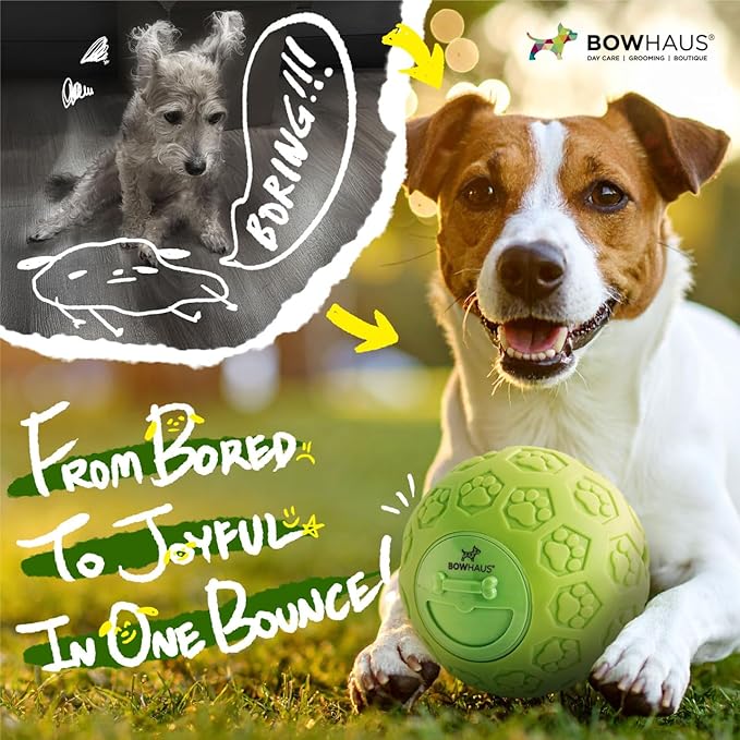 CAPHAUS Wobble Giggle Ball for Dogs, 5.5 Inch Treat Dispensing Dog Exercise Toys, Non-Toxic Indestructible PVC Giggle Ball, Interactive Fun Squeaky Chew Toy for Indoor Outdoor Play