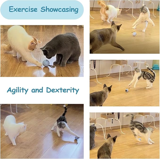 Migipaws Interactive Cat Ball Toy Set, Fun Tracker, Automatic Rolling Chase Ball with Fluffy Tail, A Small Mice, Rechargeable (White)