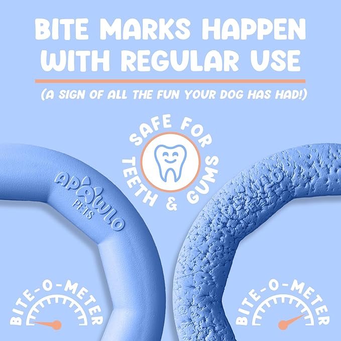 Set of 2 Active Dog Toy Rings - Floating Dog Rings for Outdoor Play, Training & Fetch - Durable Fetch Toy, Frisbee Alt, Outside Yard Toys for Medium Breeds - Blue