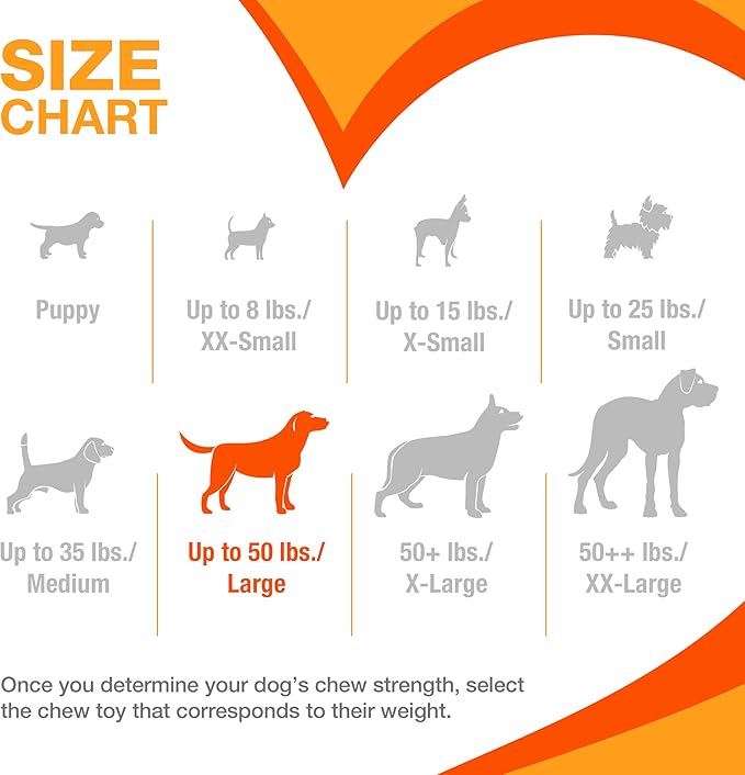 Nylabone Customer Favorites Power Chew Toy Bundle for Dogs, Indestructible Dog Toys for Aggressive Chewers, Pack of 3 Dog Toys, Flavor Medley, Large Dogs - Up to 50 lbs, 3 Pack