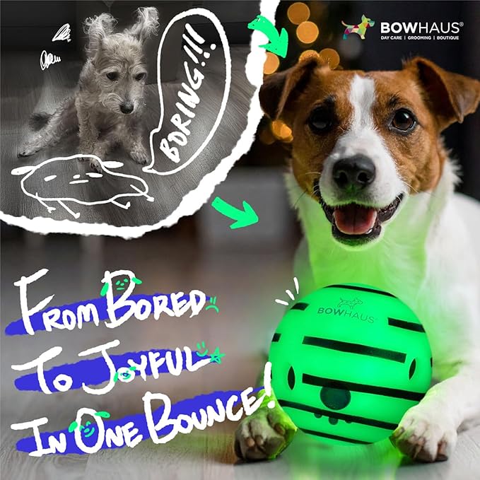 CAPHAUS Wobble Giggle Ball for Dogs, 5.5 Inch Durable Glow in The Dark Dog Exercise Toys, Non-Toxic Indestructible PVC Giggle Ball, Interactive Fun Squeaky Chew Toy for Indoor Outdoor Play