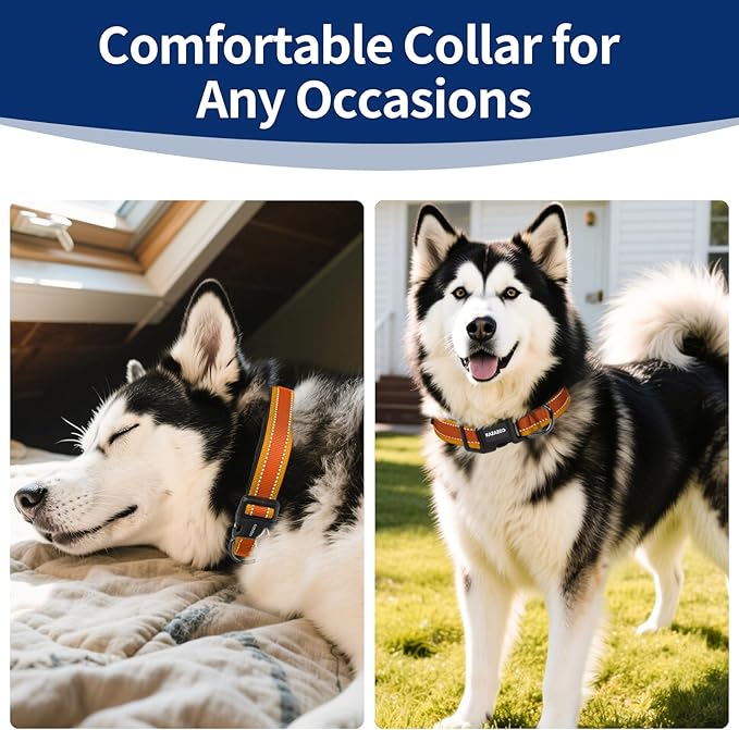 Reflective Dog Collar with Soft Padding Dog Collar for Medium & Large Dogs, No Pull, Heavy Duty, Adjustable Nylon Collar with Quick-Release Buckle, Walking Training-Orange-XL