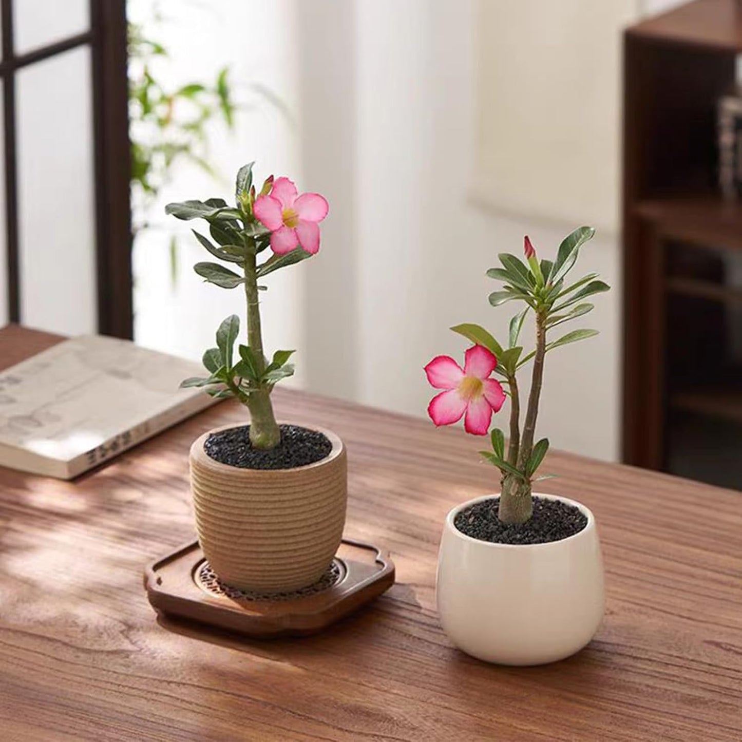 20 lbs Black Silica Sand. Decorative Aquarium Gravel Substrate for Fish Tank, Plants Potted, Fire Pits, Candle, Vase Filler and Crafts