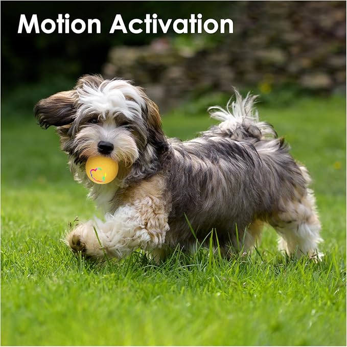 Interactive Dog Toys Balls, Dog Ball for Puppy Small Dogs Cats, Robust self-Rolling Ball, Tough Motion Activated Automatic Moving Dog Balls Toys Indoor Outdoor, Green