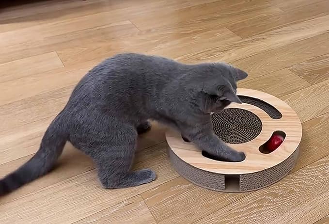 Cat Toy 3in 1 Kitten Puzzles Toys for Bored Indoor Cats with Cardboard and 2 Bell Balls Round Cats Scratcher