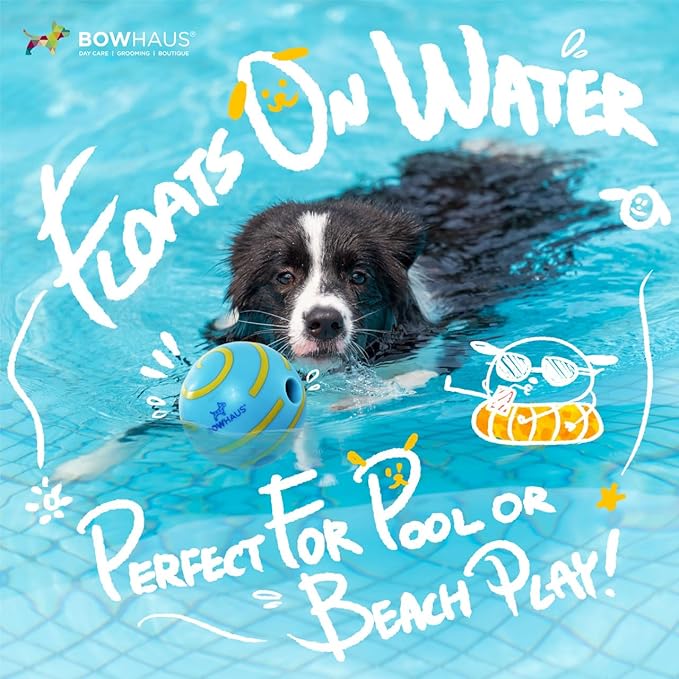 CAPHAUS Wobble Giggle Ball for Dogs, 5.5 Inch Durable Dog Exercise Toys, Non-Toxic Indestructible PVC Giggle Ball, Interactive Fun Squeaky Chew Toy for Indoor Outdoor Play