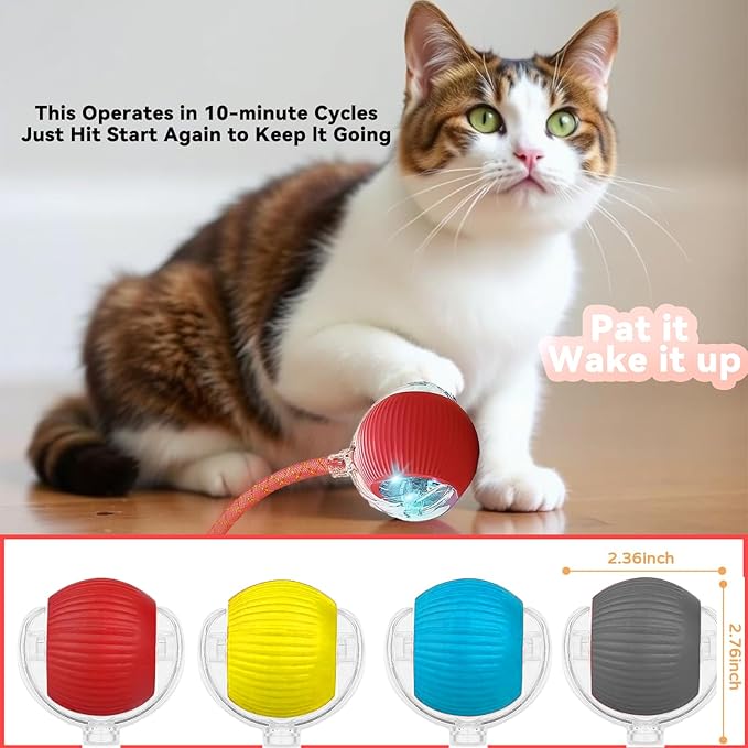 2 Pcs Interactive Cat Toys for Indoor Cats, Automatic Cat Toy with Elastic Mesh Tail, Electric Rolling Ball on Carpet, Chirping and Motion Activate Cat