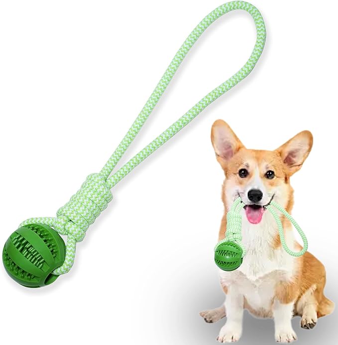 Dog Rope Toy, Dog Toy with Rubber Ball for Small and Medium Dogs, Training & Promoting Relationship Durable Outdoor Puppy Chew Toys for Teeth Cleaning, Fetch & Training(Green)