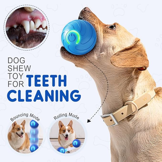 2025 New Interactive Dog Ball Toys, Vibrating Dog Ball, Moving Dogs Balls, Automatic Rolling Balls Toys, USB Rechargeable for Small Medium Dogs (Blue)