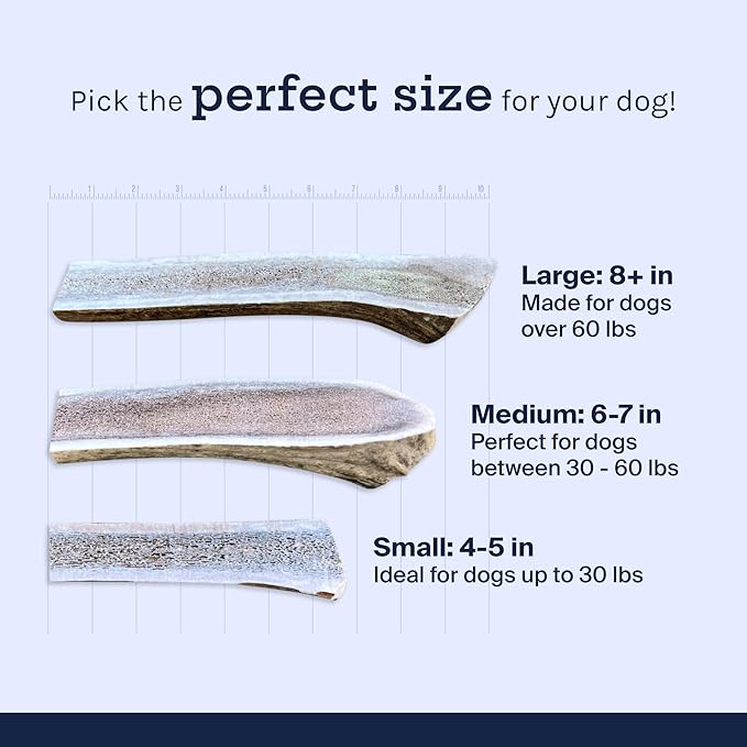 Good Trouble Premium Elk Antlers for Large Dogs – 2 Pack Split - All-Natural, Shed Antler Chews for Dental Health & Calming - Durable Dog Bones - Cruelty-Free, North American Sourced