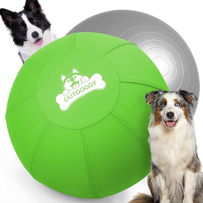Herding Ball for Dogs 22 Inch - Dual-Layer Heavy Duty Herding Ball for Australian Shepherds, Border Collies & Cattle Dogs | Outdoor Herding Toy for Medium/Large Dogs - Backyard Training and Play-Green
