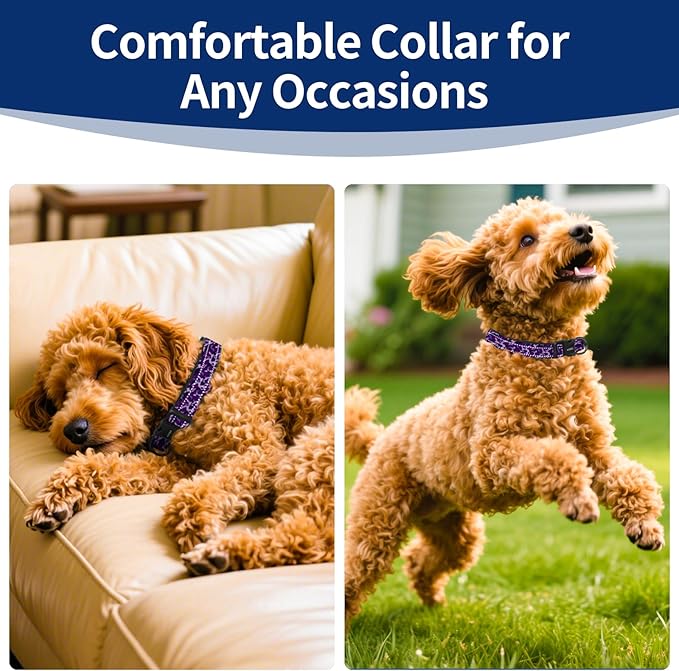 Reflective Dog Collar with Soft Padding Dog Collar for Medium & Small Dogs, No Pull, Heavy Duty, Adjustable Nylon Collar with Quick-Release Buckle, Walking Training Purple camo-S