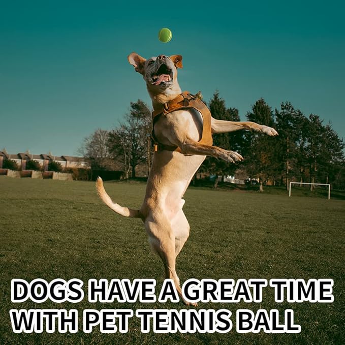 PTLSY Easy Catch Dog Tennis Balls - 16 Pack, Standard Size (2.5 inch) for Medium & Small Dogs