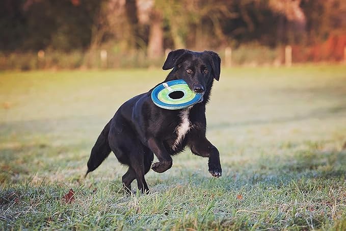 Chuckit! Max Glow Zipflight Flying Disc Dog Toy - Water Floating Flyer for Beach and Pool - Durable Polyester Construction - For Medium and Large Dogs - Size Medium - 8.5” L x 8.5” W - Pack of 1