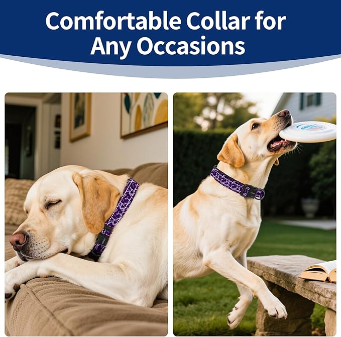 Reflective Dog Collar with Soft Padding Dog Collar for Medium & Large Dogs, No Pull, Heavy Duty, Adjustable Nylon Collar with Quick-Release Buckle, Walking Training Purple camo-L