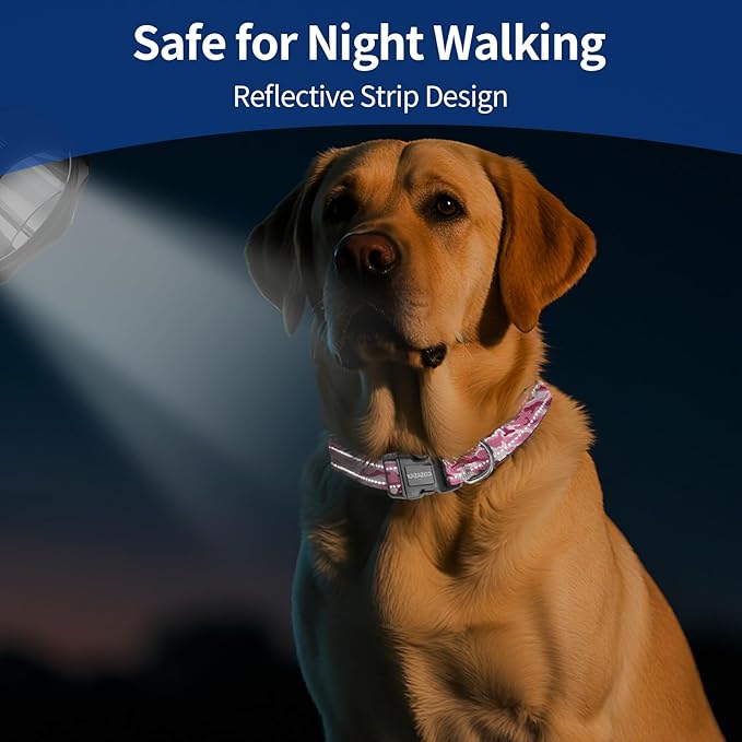 Reflective Dog Collar with Soft Padding Dog Collar for Medium & Small Dogs, No Pull, Heavy Duty, Adjustable Nylon Collar with Quick-Release Buckle, Walking Training-Pink camo-M