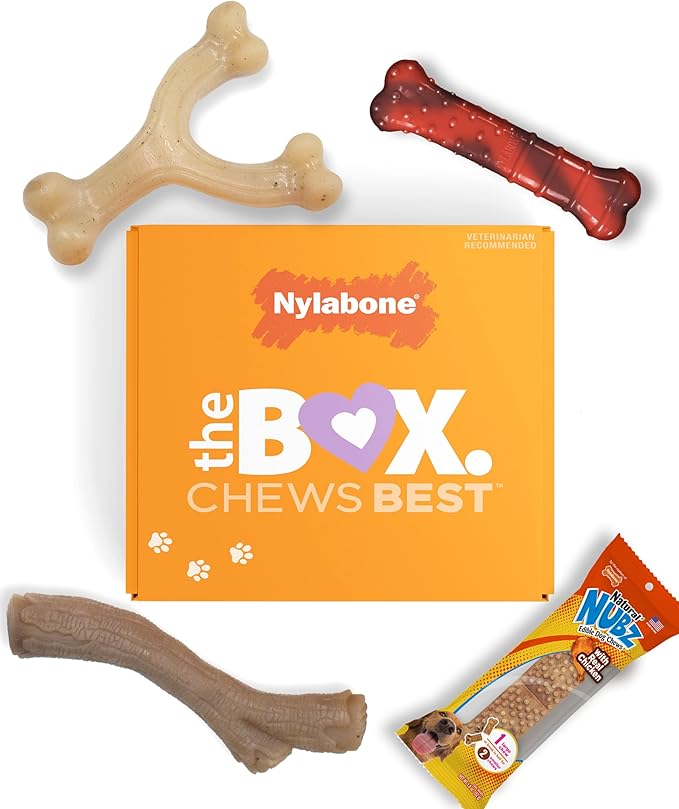 Nylabone Dog Gift Box, Includes 3 Strong Chew Toys and 1 Natural Treat, Gifts for Dogs, Small - Up to 25 lbs, 4 Pack