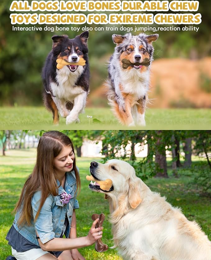 Aggressive Chew Toys, Nylon Bones, Indestructible Toys for Medium Large Dogs, Durable Tough Puppy Teething, Beef & Chicken Flavor (2pcs)