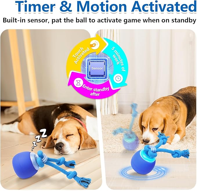 Interactive Dog Toys with Motion Activated, Squeaky Dog Toy Active Rolling Ball for Puppy and Medium Dogs, USB Rechargeable, Wicked Ball