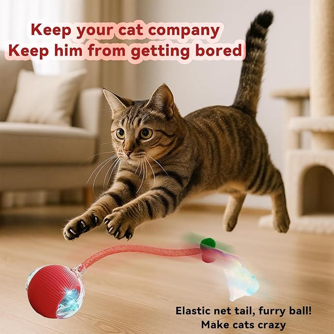 2 Pcs Interactive Cat Toys for Indoor Cats, Automatic Cat Toy with Elastic Mesh Tail, Electric Rolling Ball on Carpet, Chirping and Motion Activate Cat