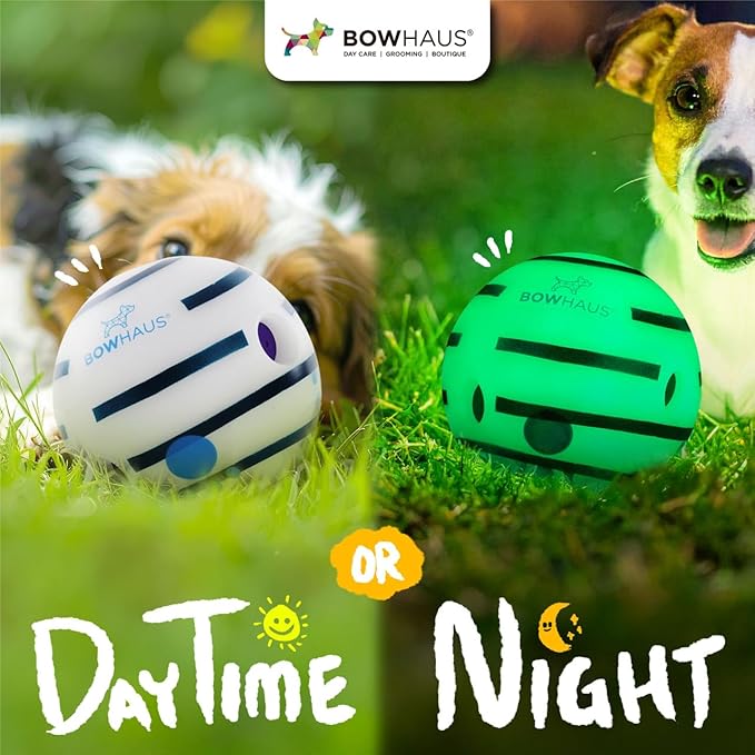 CAPHAUS Wobble Giggle Ball for Dogs, 5.5 Inch Durable Glow in The Dark Dog Exercise Toys, Non-Toxic Indestructible PVC Giggle Ball, Interactive Fun Squeaky Chew Toy for Indoor Outdoor Play