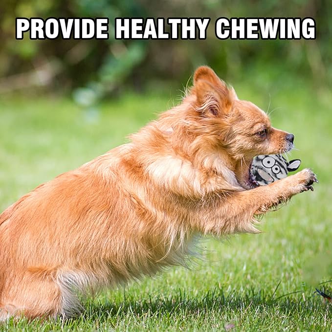 DKING 3Pack Squeaky Dog Balls,2 in1 Funny Puppy Ball Toys,Birthday Dog Toy for Small Medium Dogs (Animal Ball)